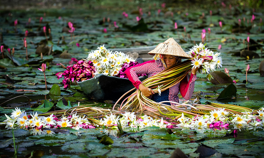 Hình ảnh lịch sử Nam Bộ